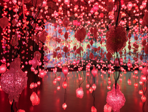 Screen Shot 2017-02-05 at 8.54.36 PM.png